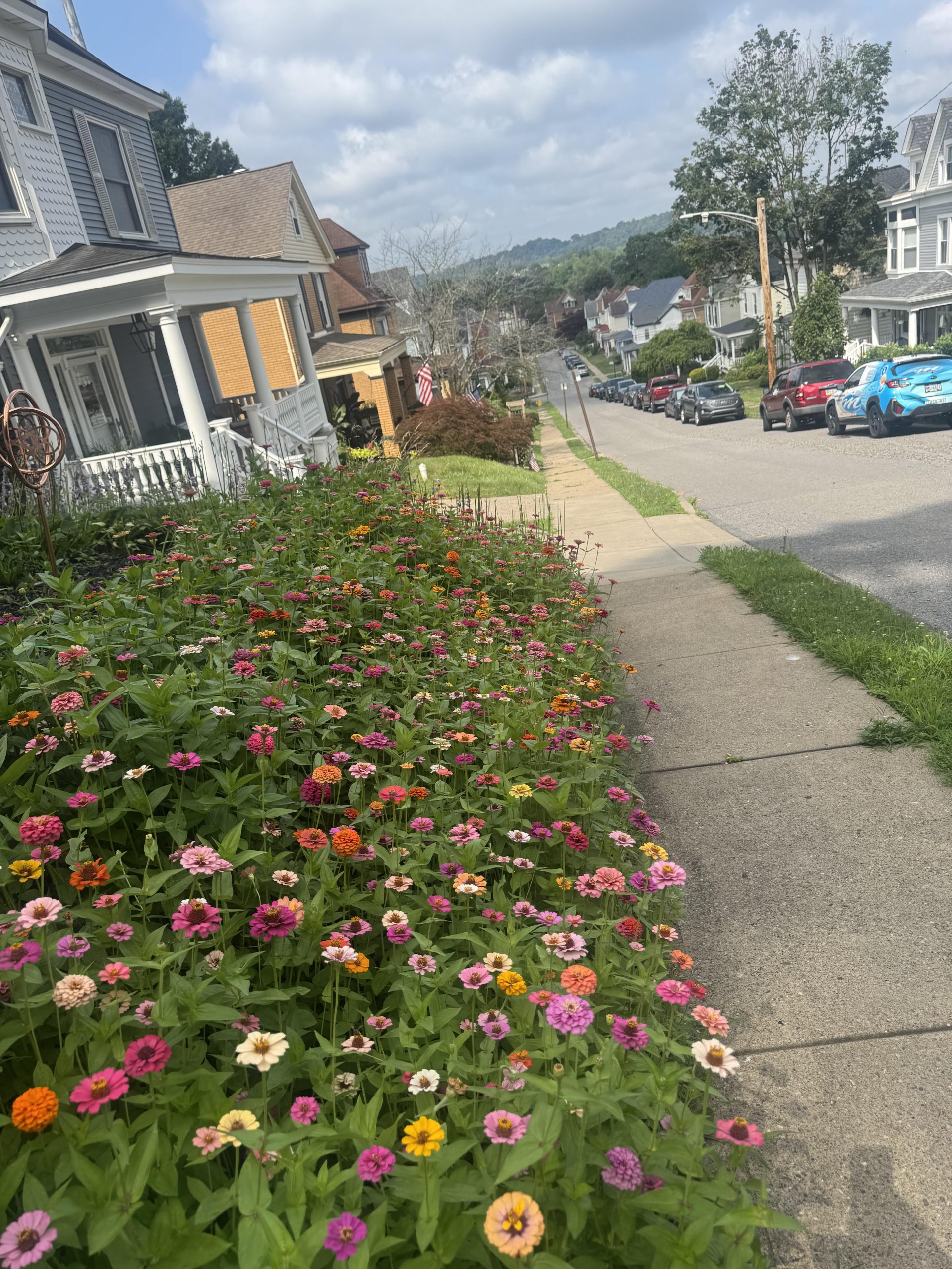 flowers and sidewalk in a crafton neighborhood